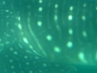 7769e955-38df-4e09-854b-307017323fd3