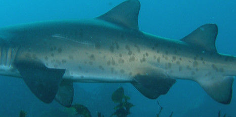 db03f8e0-5ac8-4177-a845-94e9c59049f8