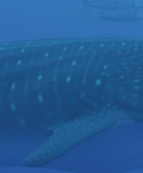 506c3180-9d88-490a-a29f-c83e00876821