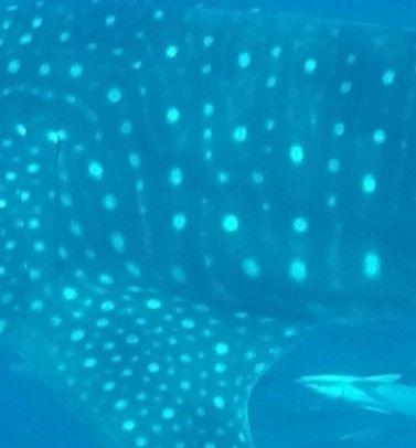 03f16796-9028-40ca-a1a4-215b381b5bdf