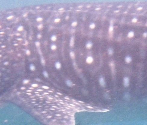 8861bf7c-8b06-4ac4-84a5-4960f18c19ca