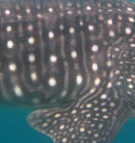 8861bf7c-8b06-4ac4-84a5-4960f18c19ca