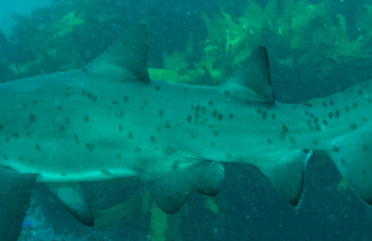 9105ff11-e6c5-426b-8553-a77039e0d4f1