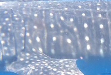 e4d86fe1-7f3a-4fc0-9f74-a67a2362ef03