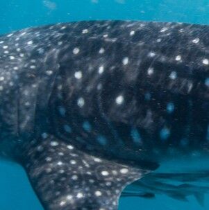 19af9aa0-b077-4aba-a713-a28a76e22a18