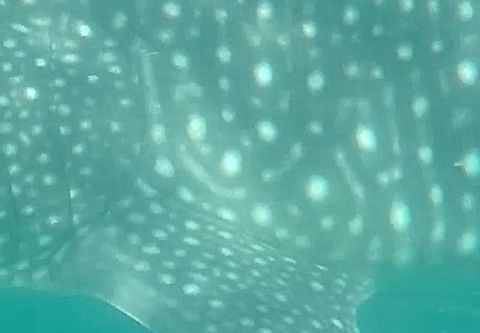 e2507fff-9727-4036-8a0d-b105d0dd1905