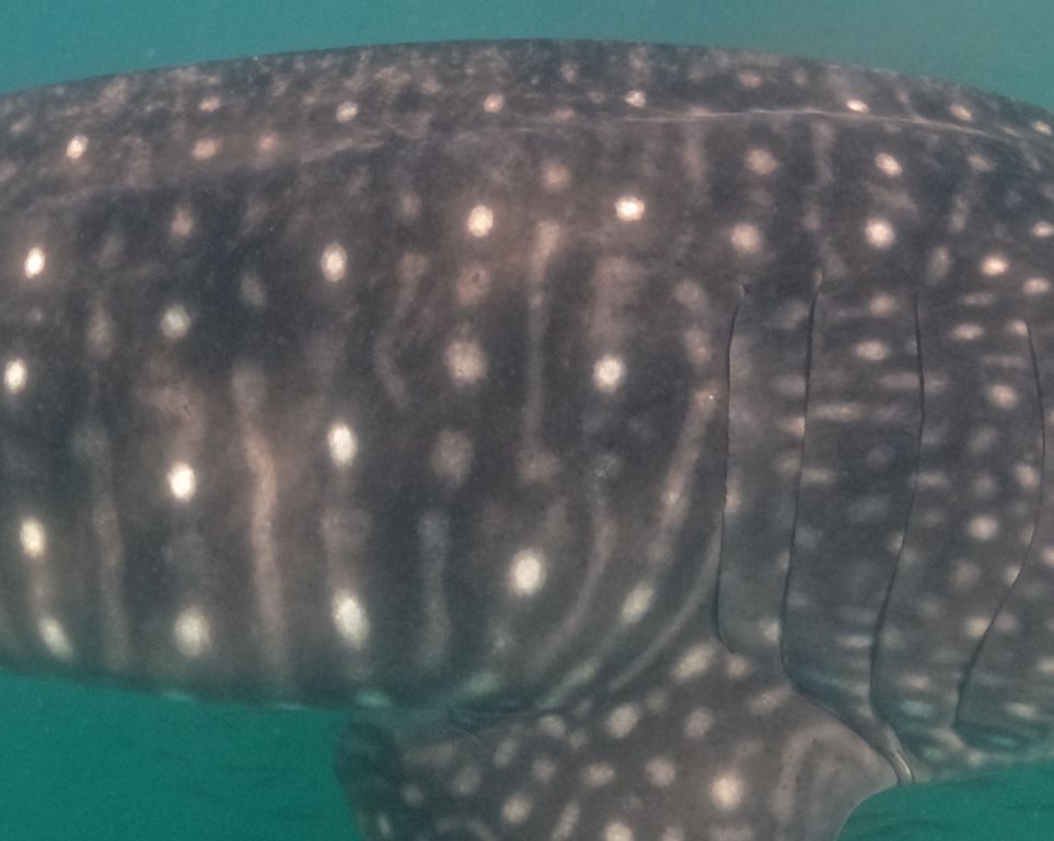 5b01e0c4-8fbe-4bcf-a6f8-c316c32782b4