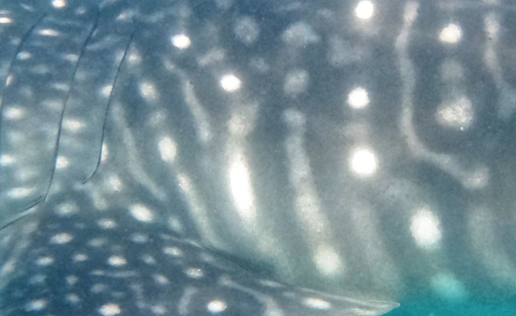 5b01e0c4-8fbe-4bcf-a6f8-c316c32782b4