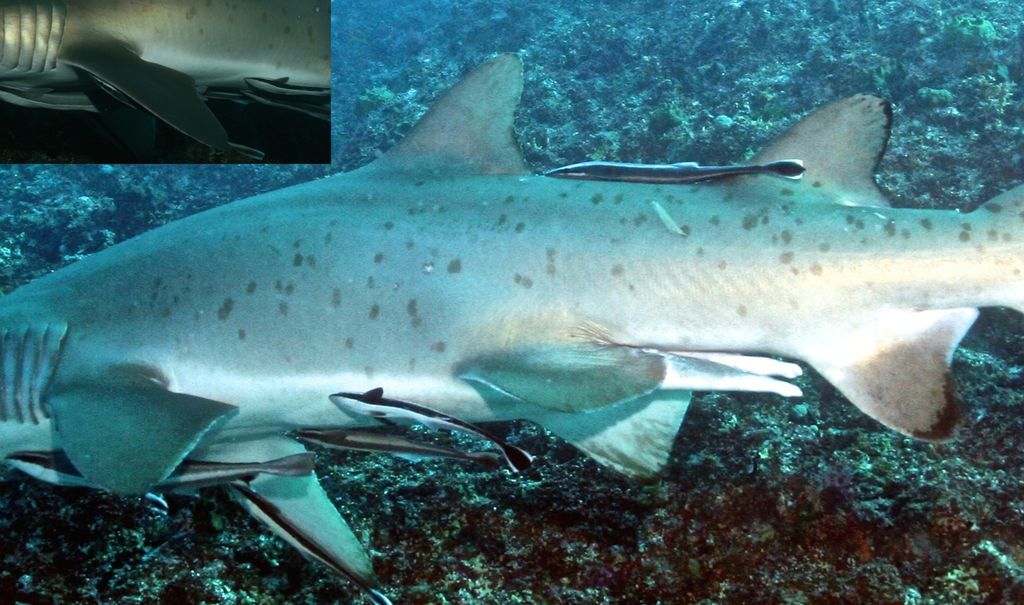 35fa32d6-7dd5-4be8-8faa-8b7fefea8115