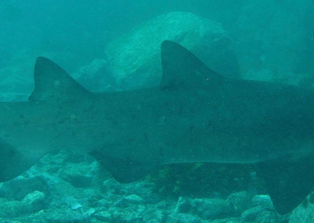 01e50750-df12-43c4-aa03-0d24b19e27d8