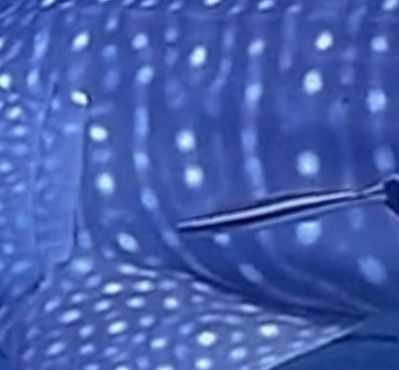 d5ba6a62-d70c-4b7a-8762-a1b770a43ad5