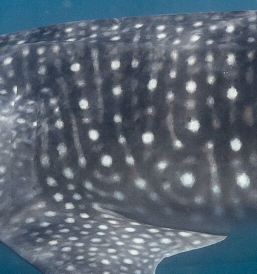 3c6e49b4-1779-4ec7-9fbe-d50baa33d3f3