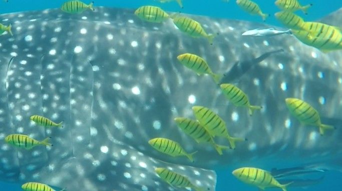 63e9fa01-0366-4bef-8be6-3dad59ab06bf