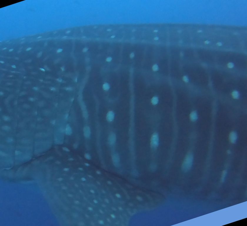 95a5ad30-47a5-41f0-83de-aebc7b75bbbd