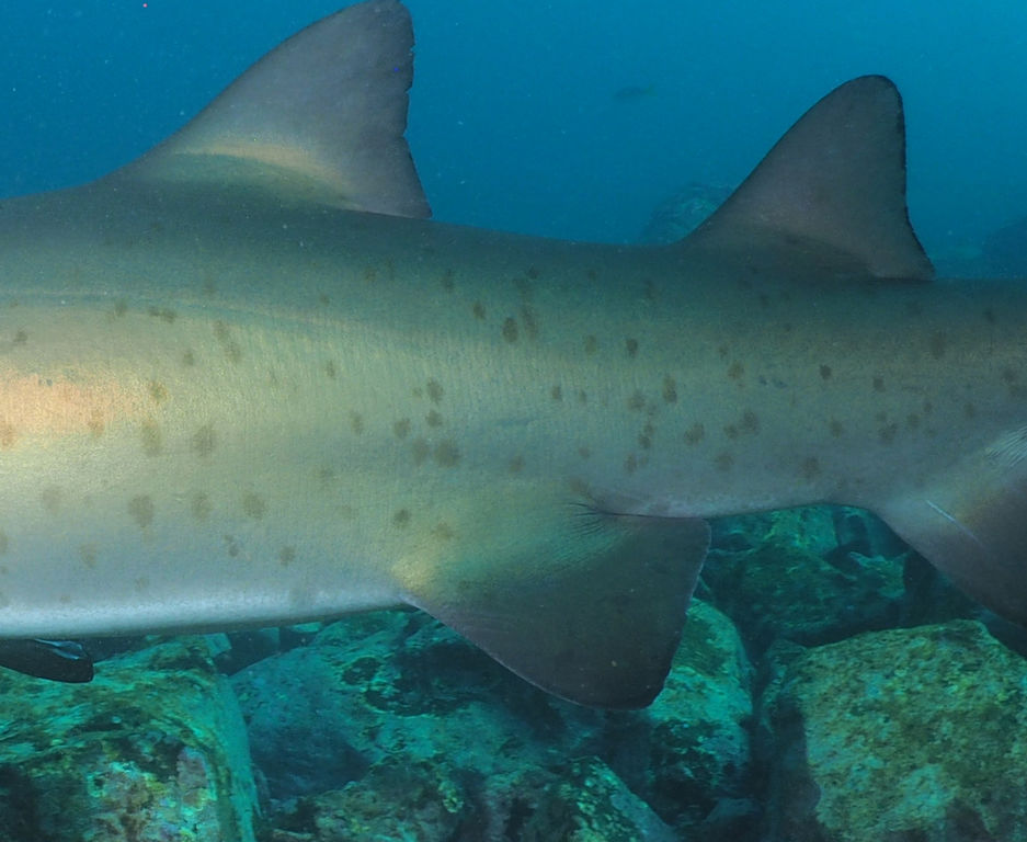 8dbc7c08-80bd-4bef-b925-2408633ee6ad