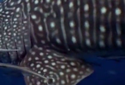 812ed952-805e-44a7-aa10-822129b739d6