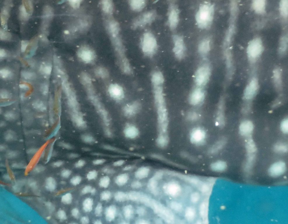 9a2ac1d5-dc61-49d9-95fe-40565d3eb565