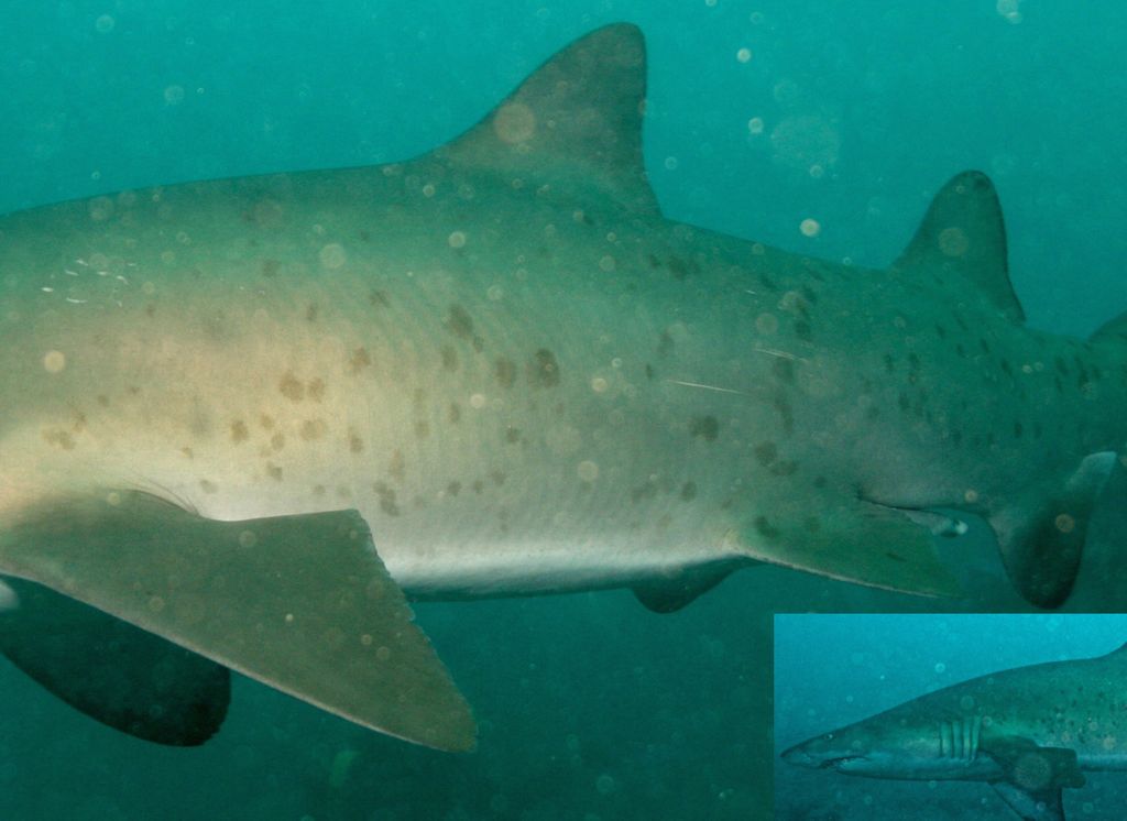 047ba166-5944-48e4-9e92-b77d14ef17e8