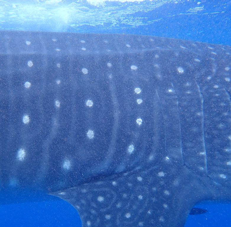 79bb4749-cf38-41f8-8e6e-5406c0878da6