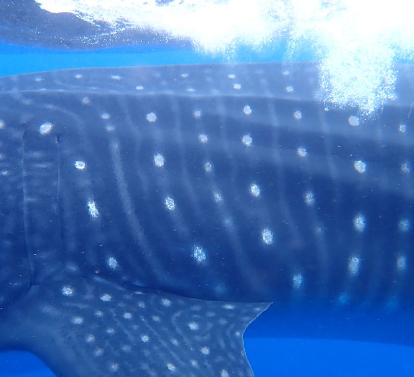 79bb4749-cf38-41f8-8e6e-5406c0878da6