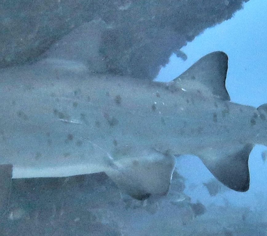 166db56b-60a4-4500-b193-f9b869baa3eb