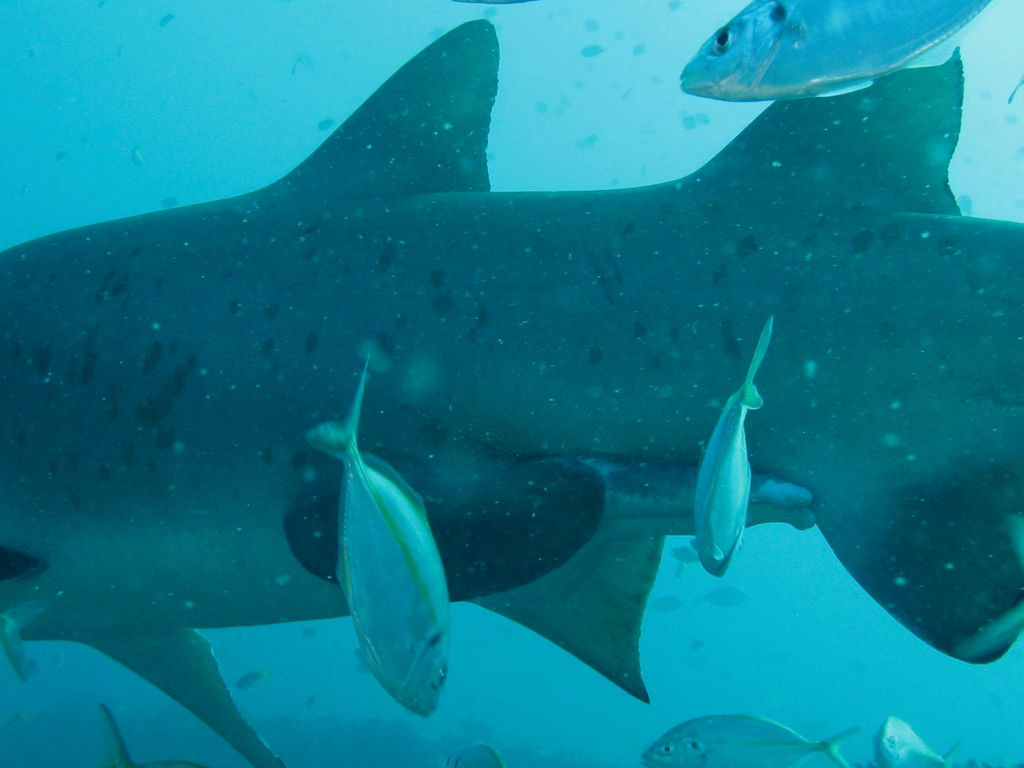 0d35a3b1-f4f9-46fd-b3a7-e84d6426e0f6