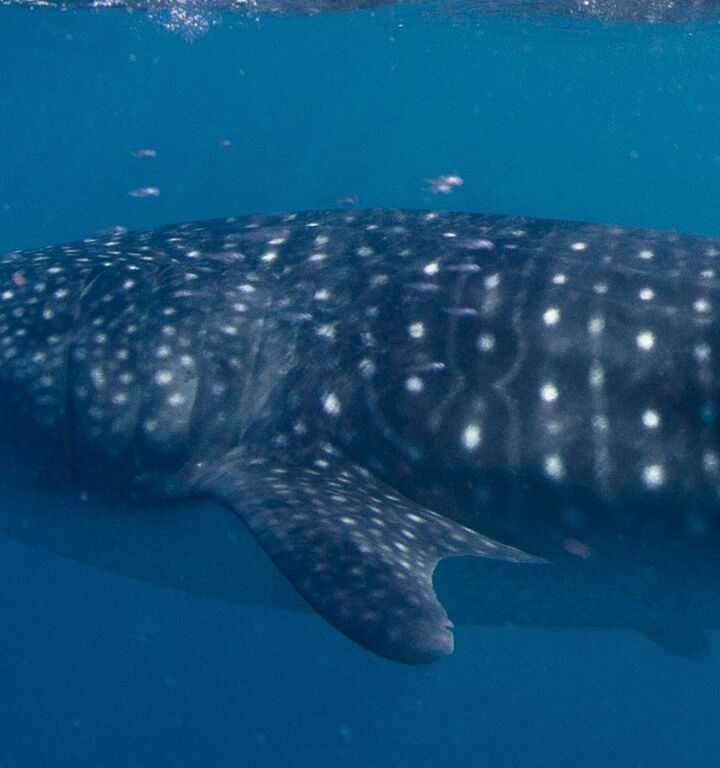 ec7ed83e-a8a7-4d8c-8e22-1a3952e9dc07