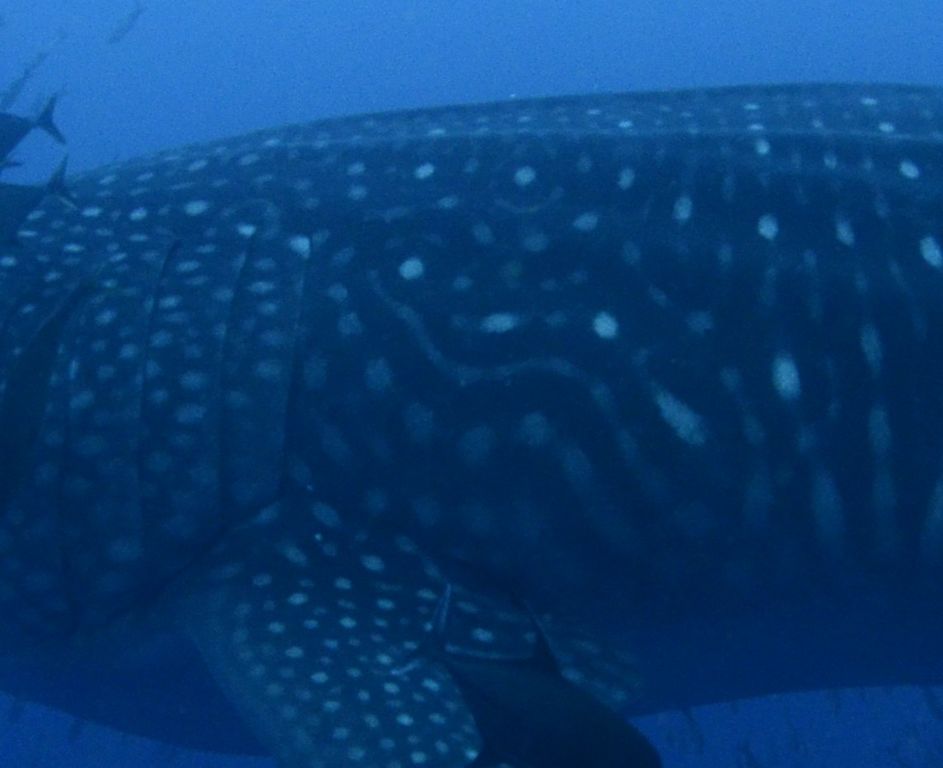 e25d7487-c7d5-4c1c-8220-b5ee3cc36549