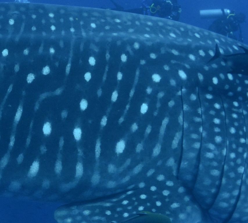 e25d7487-c7d5-4c1c-8220-b5ee3cc36549