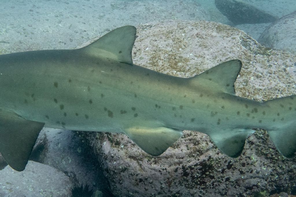 1bc1c3fe-ca86-404f-a713-ec2abfca5027