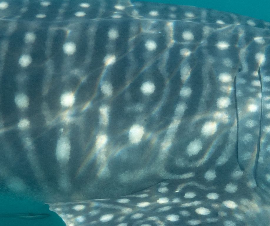 feb02b9d-399b-402b-a8a9-897de41f6e2d