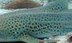 236a3755-0c62-406e-ab40-2fd93827df62