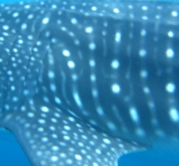 f4e15aff-c0fd-4baf-99f8-b5e7ceb73024