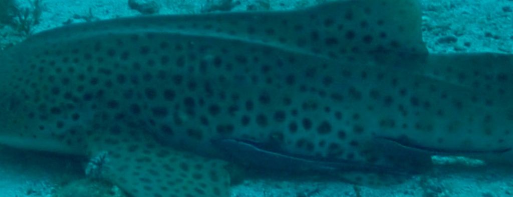 9a7f1c23-76ae-461a-a5fc-0e4d64c42845