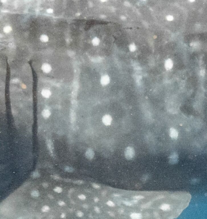 8e49a722-78a0-4201-9c0b-985cddd8f6f3