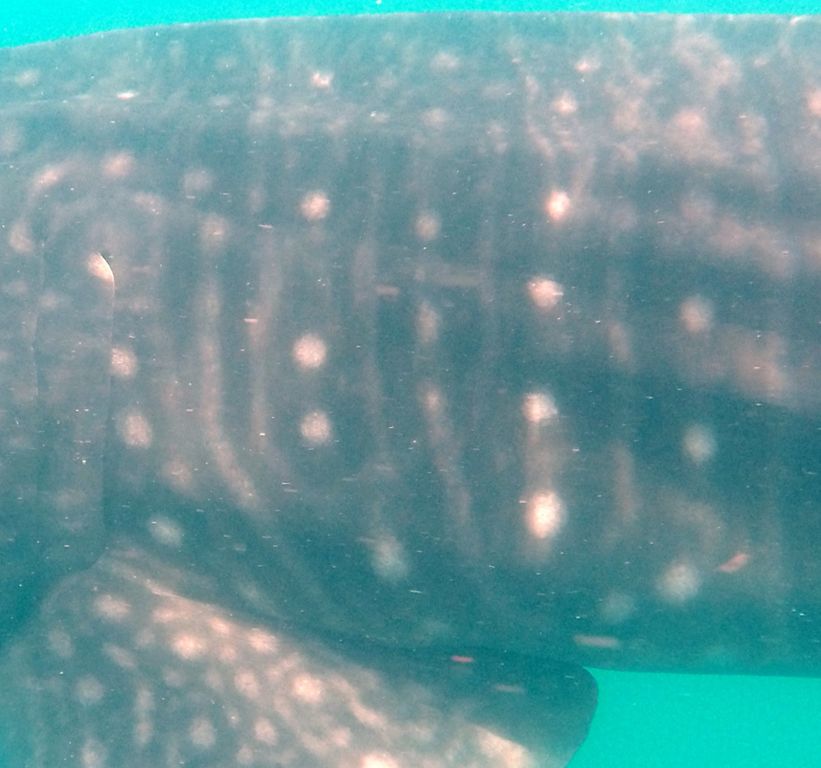 eee0dd85-982d-4119-be43-69141d77c8b8