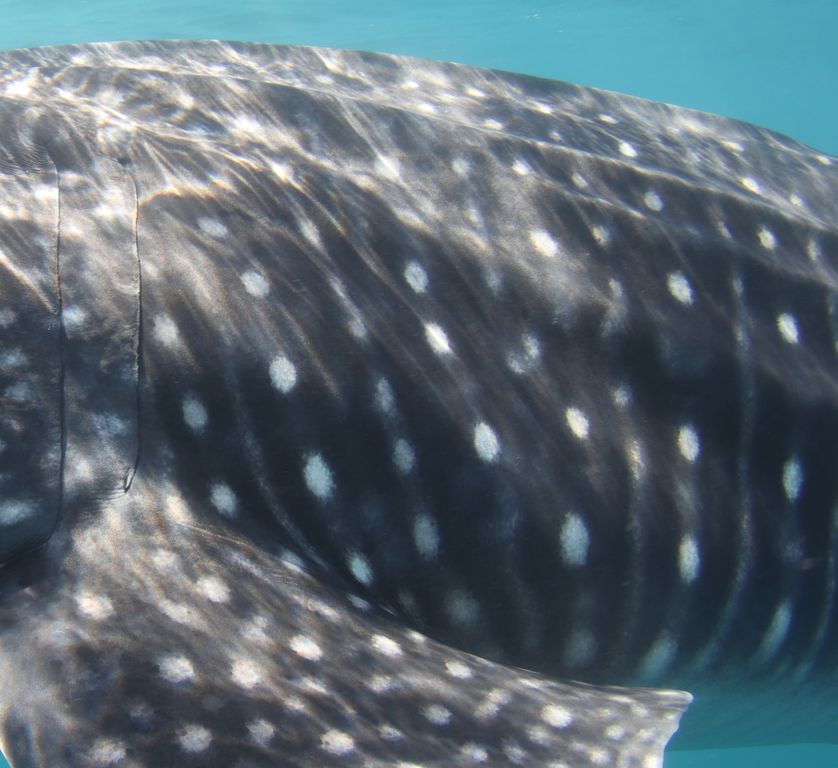 ac7182c2-56f5-40d0-9b15-bd2678659f64