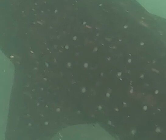 f1f5316c-eb30-4a4c-a608-6df203e9f2f5