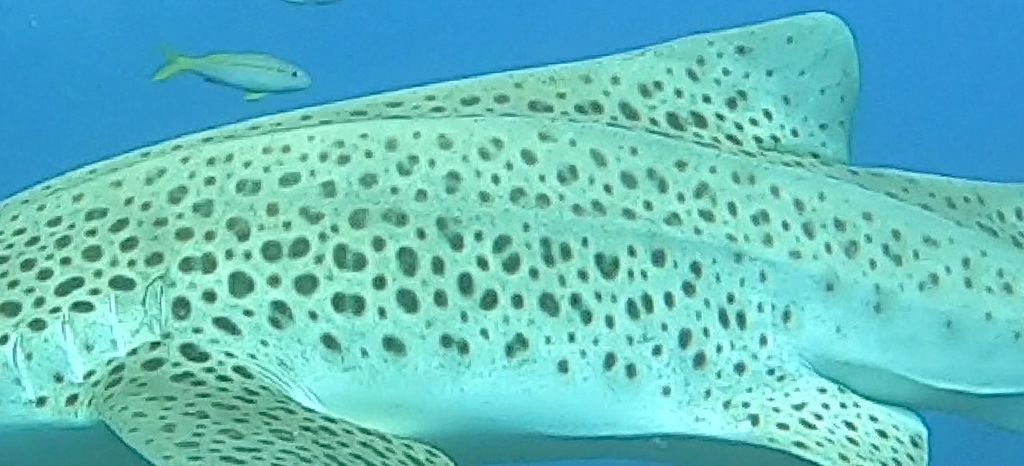 3581bedd-222a-4a3e-ae61-00c6344b8a29