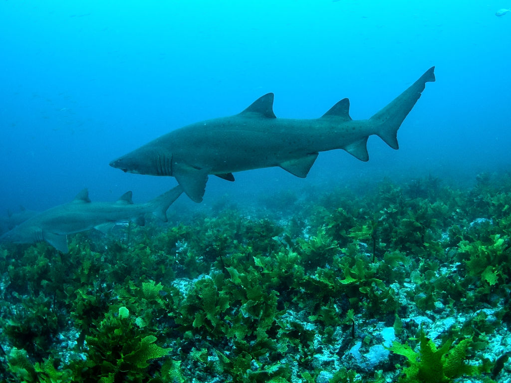 aa9368da-5112-47d5-9fae-e5339d97b747