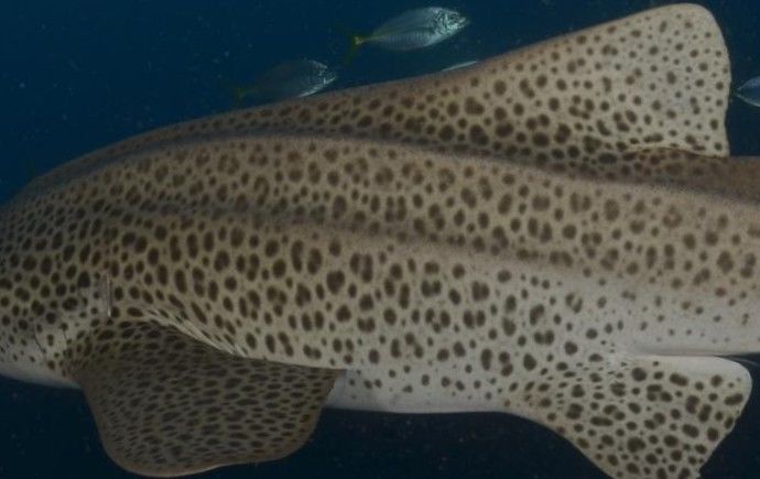 7d94b8d6-bd84-494f-8416-0349a17adee0