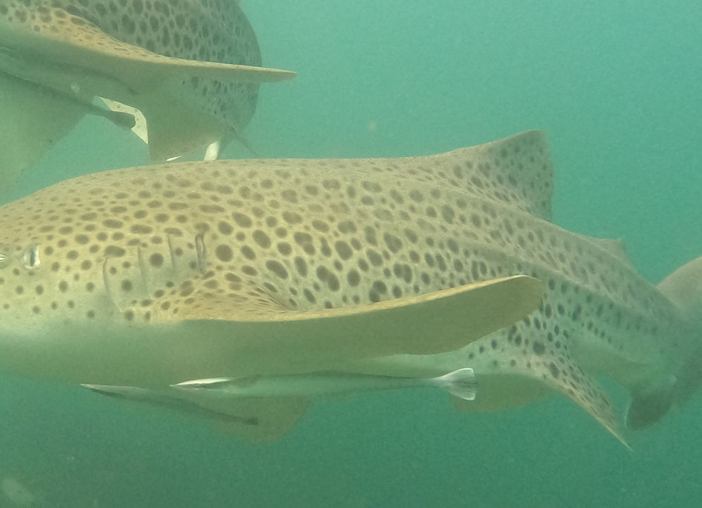 cad3d0cd-d7e4-47a0-afa3-68eee758c514