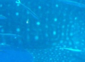 3cd2ee3a-bf19-4f1d-8f87-b91373b301c3