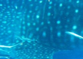 3cd2ee3a-bf19-4f1d-8f87-b91373b301c3