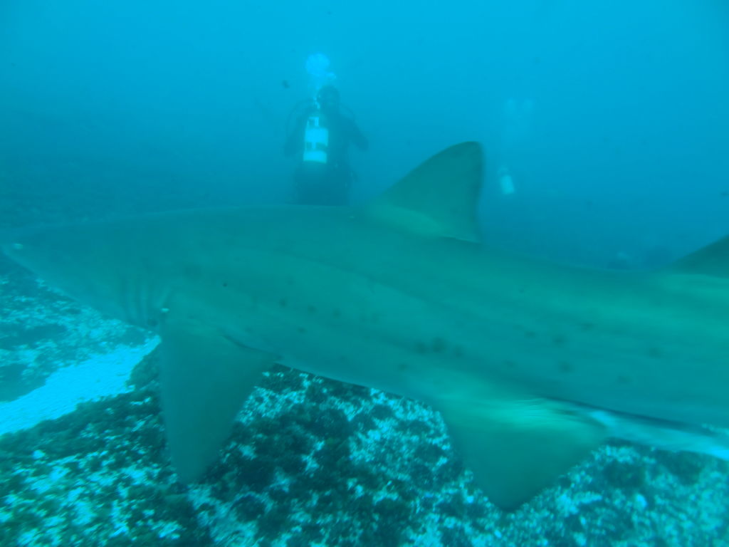 0e512305-4082-4a0a-9f0b-476c8f8553df