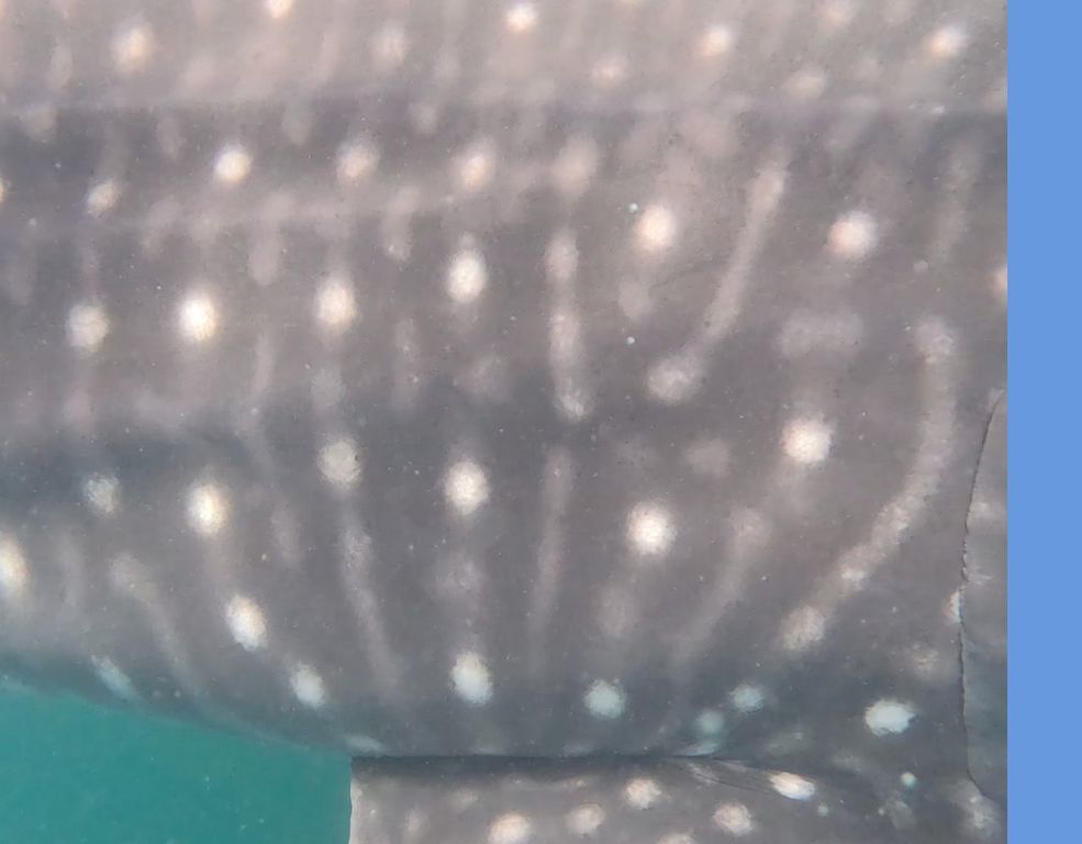 254de3b6-b588-4059-83e8-911dfb540c0b