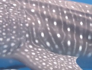 75b1228d-bf57-48e2-a94c-fa4f29f27226