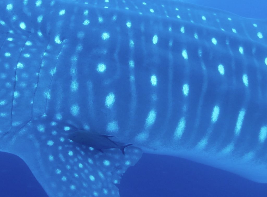 54819a07-e136-44ac-9ae2-4a24fd657676