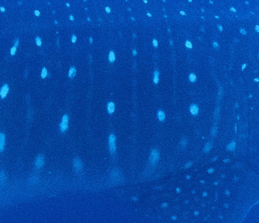 54819a07-e136-44ac-9ae2-4a24fd657676