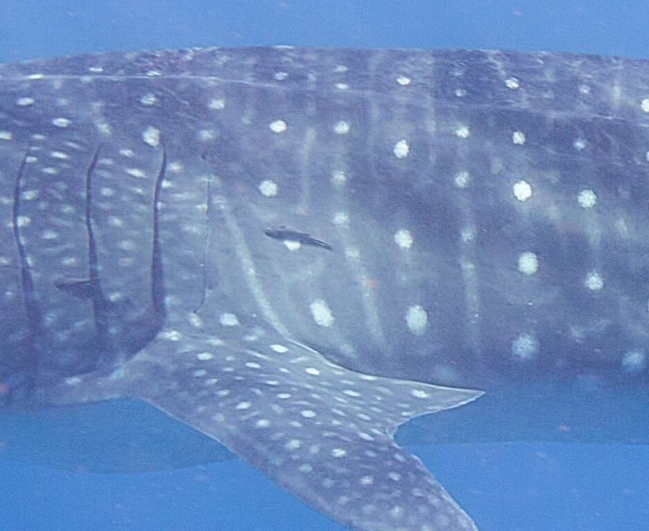 9daddff9-ae70-42d6-9dfa-dd2610761dc3